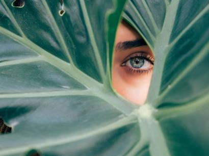 Eyebrow Shaping &amp; Beauty Trends