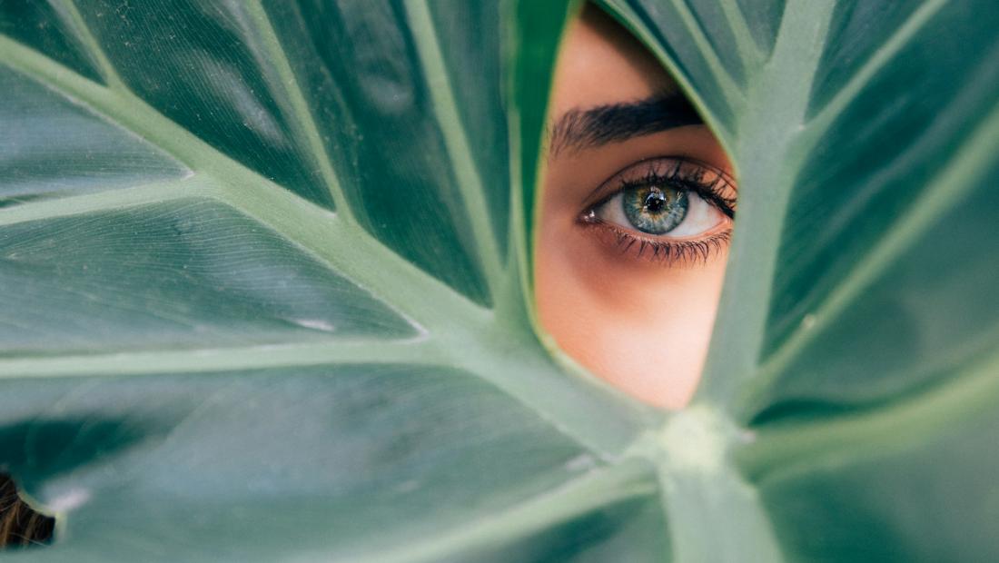 Eyebrow Shaping &amp; Beauty Trends